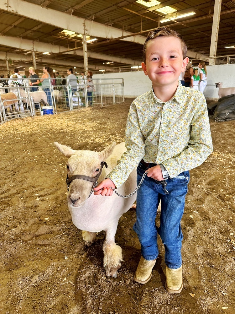 Humboldt County Fair